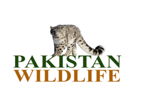 Pakistan Wildlife Logo